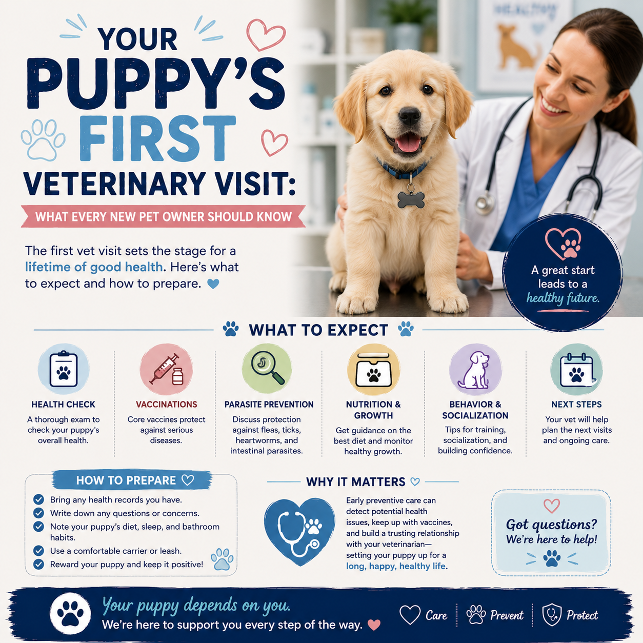 Your Puppy’s First Veterinary Visit: What Every New Pet Owner Should Know