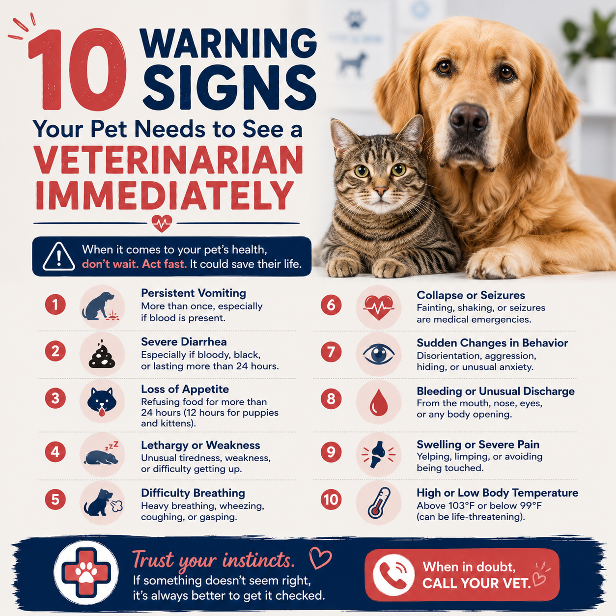 10 Warning Signs Your Pet Needs to See a Veterinarian Immediately